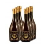 xHamster Beer 6x0.5L (8.5% Vol.) - Image 2