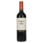 Concha y Toro Casillero del Diablo CARMENERE Reserva 2023 13.5% ABV 0.75l
