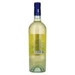 SCAIA Garganega e Chardonnay IGT 2024 12,5% Vol. 0,75l - Image 2
