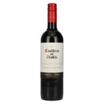 Concha y Toro Casillero del Diablo CABERNET SAUVIGNON Reserva 2023 12,5% Vol. 0,75l