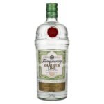 Tanqueray RANGPUR LIME Distilled Gin 41,3% Vol. 1l
