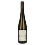 MICHAEL Cabernet Blanc PIWI 2024 12,5% Vol. 0,75l - Image 2