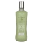 Ampersand MELON FLAVOUR Premium Gin 37,5% Vol. 0,7l - Image 2